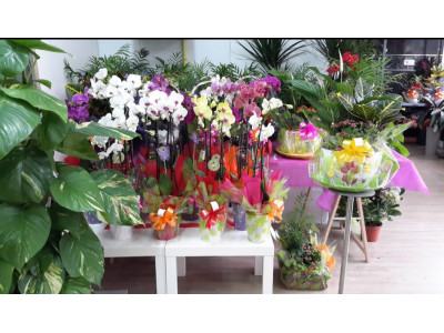 Floristeria con envio gratuito a Getafe