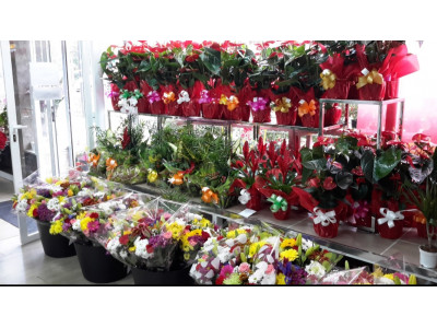 Florist with free home delivery in alcorcon