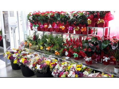 Floristeria con envio gratuito a domicilio en alcorcon