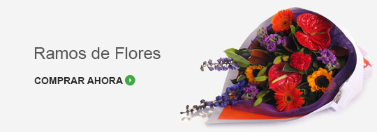 Ramos de flores